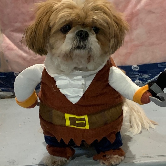 Meet your Posher, Caroline - Picture 1 of 1